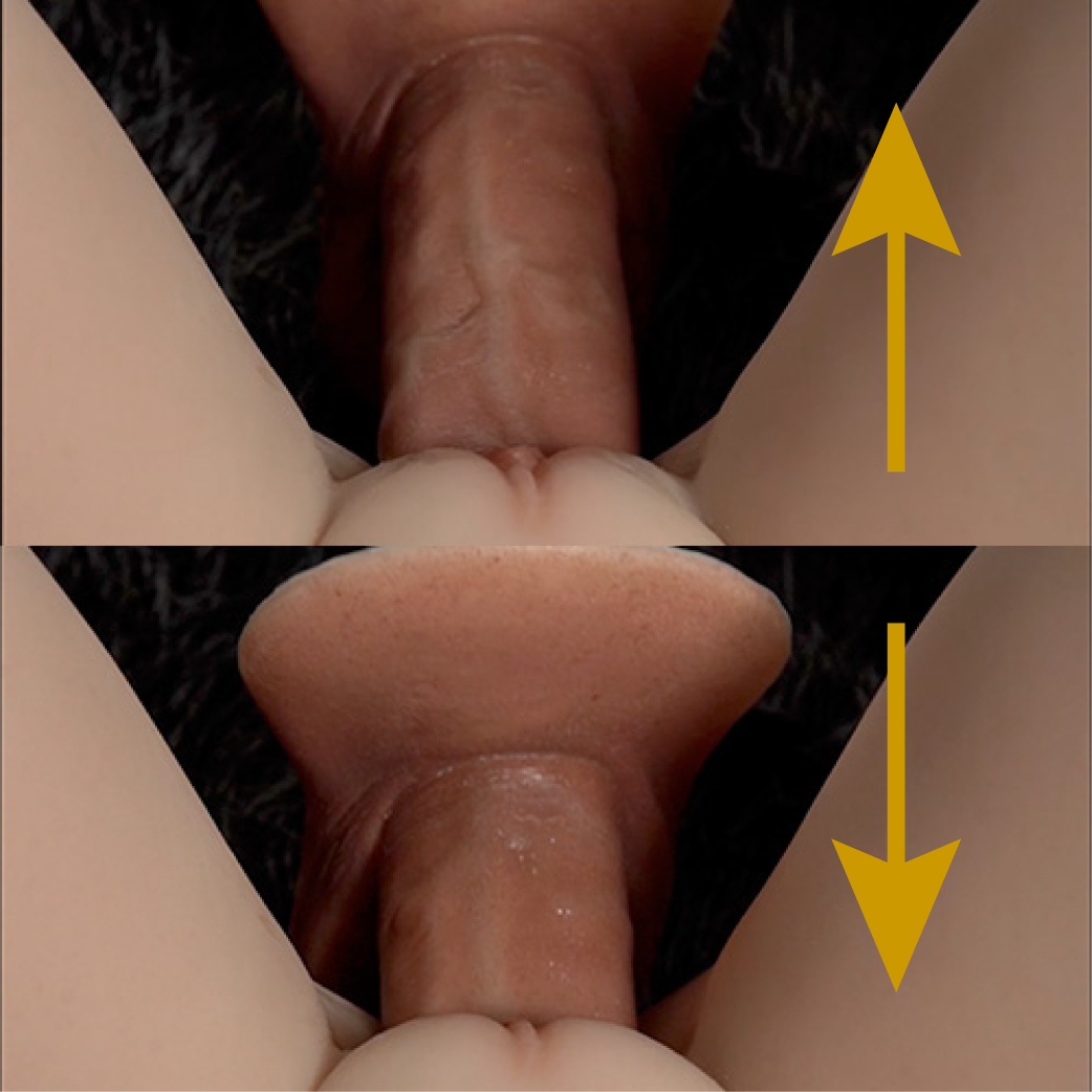 Vagina with suction [+€99]